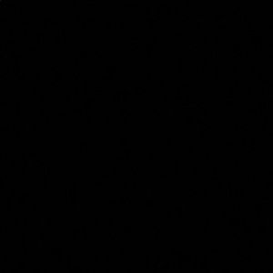 Meet your Posher, Tahereh